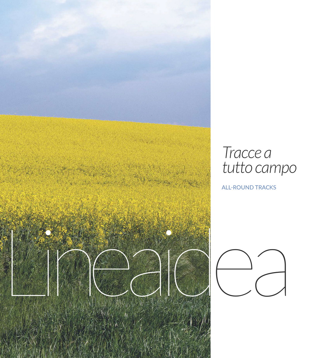 Lineaidea