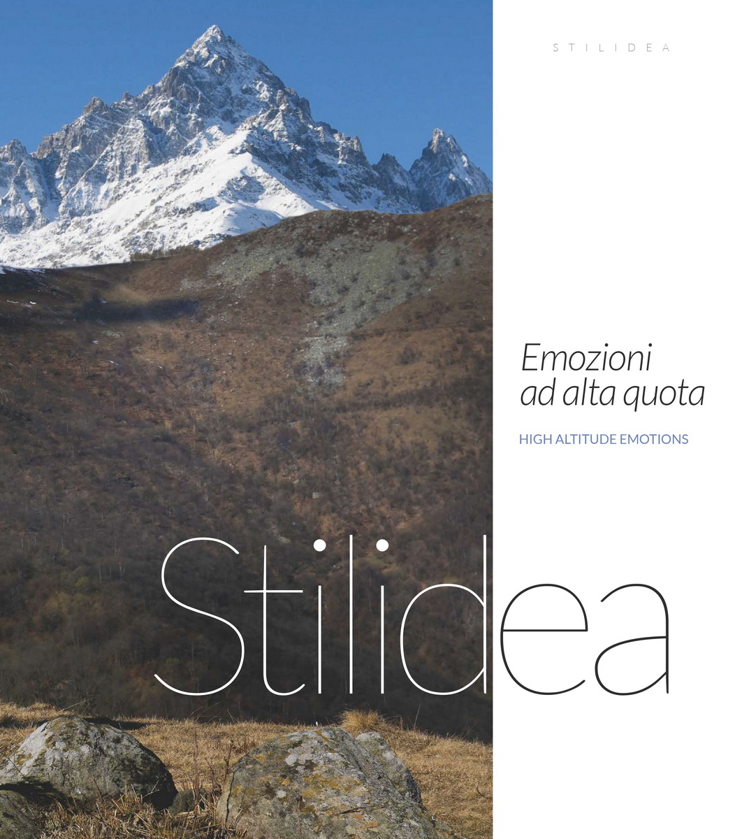 Stilidea